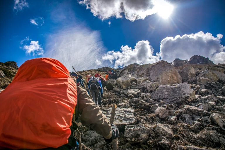 Hiking Must-Haves: Gear, Essentials For an Enjoyable Trek”