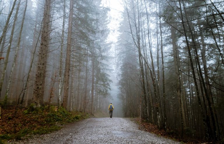 What to Bring When Hiking: Essentials for a Comfortable Trip